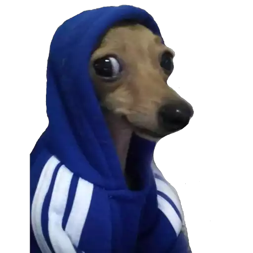Dog Bois sticker 9