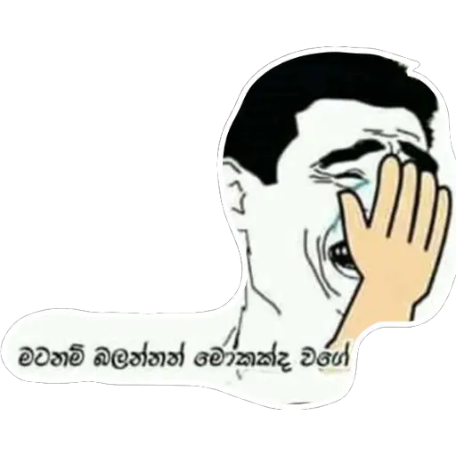 Average Sinhala Memes sticker 12