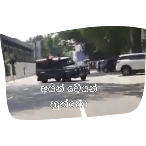 Average Sinhala Memes sticker 13