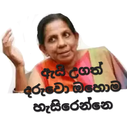 Average Sinhala Memes sticker 14