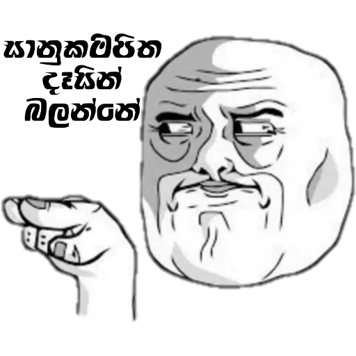 Average Sinhala Memes sticker 9