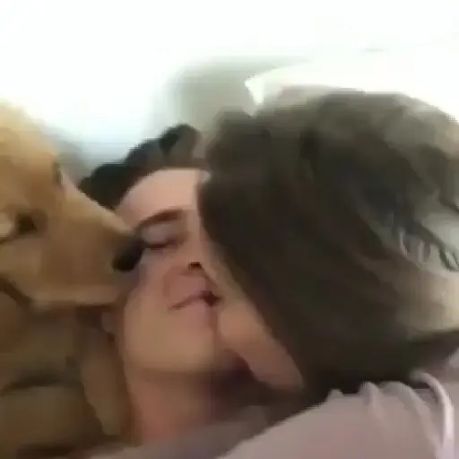 Lovers club sticker 2