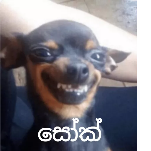 Santha Dog n more sticker 13