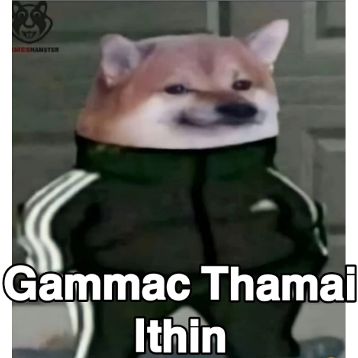 Santha Dog n more sticker 3