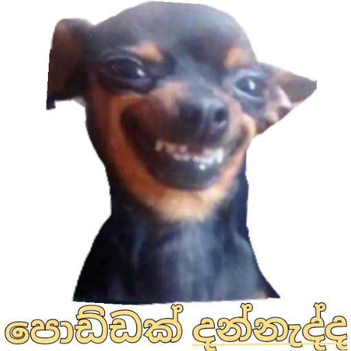 Santha Dog n more sticker 5