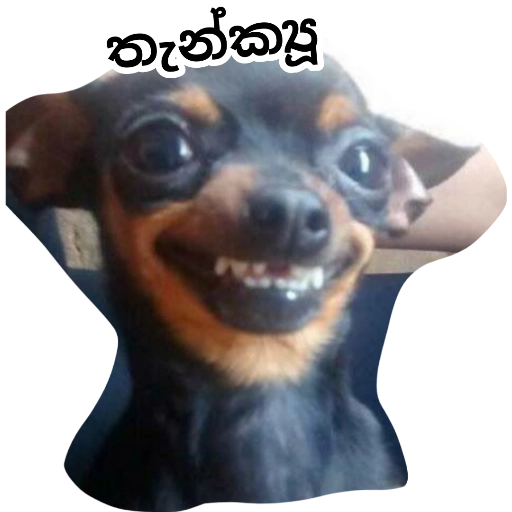 Santha Dog n more sticker 6