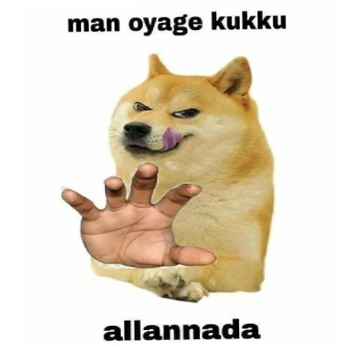 Santha Dog n more sticker 9