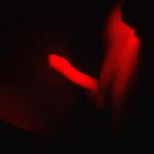 Red Erotic sticker 27