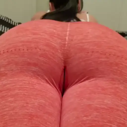 An ass worth dying sticker 8