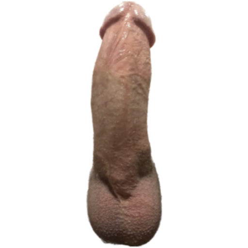 Little fat penis sticker 3