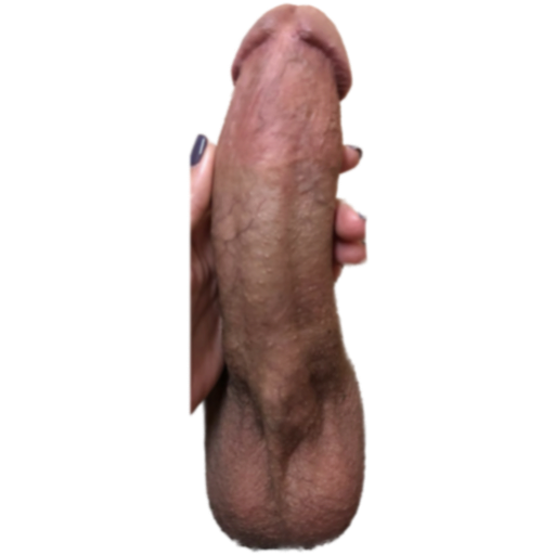 Little fat penis sticker 7