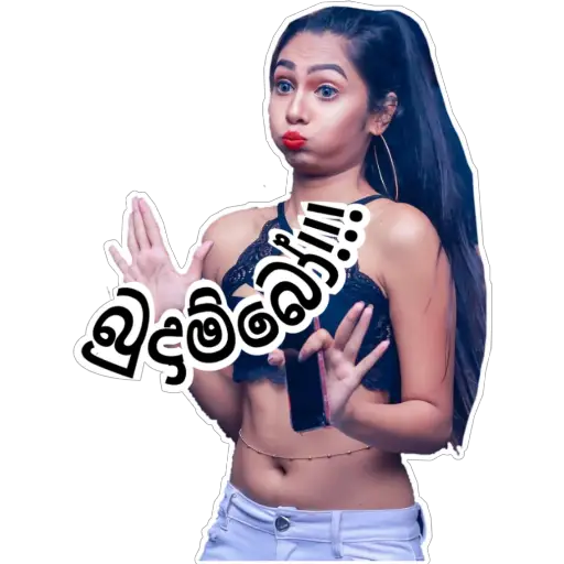 Sinhala Meme Mega Pack 3 sticker 30