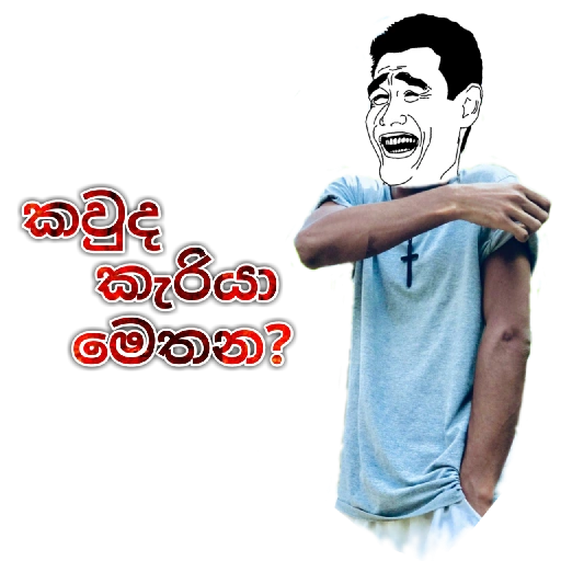 Sinhala Meme Mega Pack 5 sticker 28