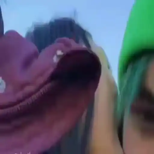 Sweet pussy owners sticker 13