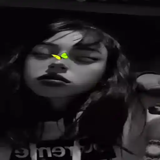 Sweet pussy owners sticker 18