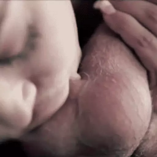 Tasty Balls sticker 4