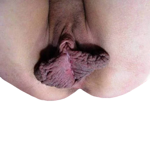 World of Vaginas pack 1 sticker 10