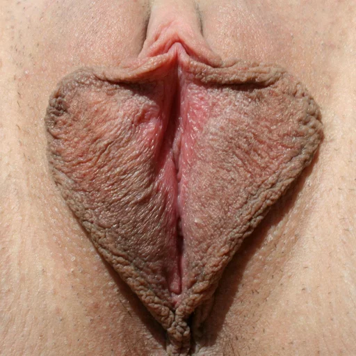 World of Vaginas pack 1 sticker 11