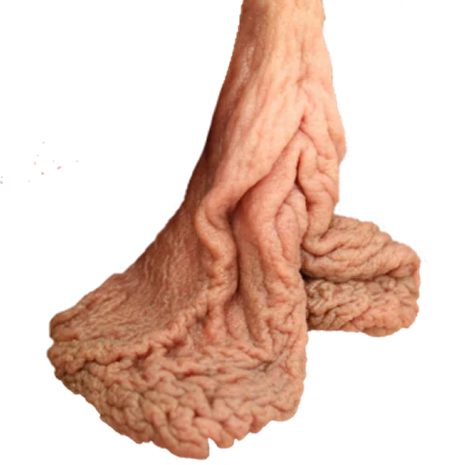 World of Vaginas pack 1 sticker 12