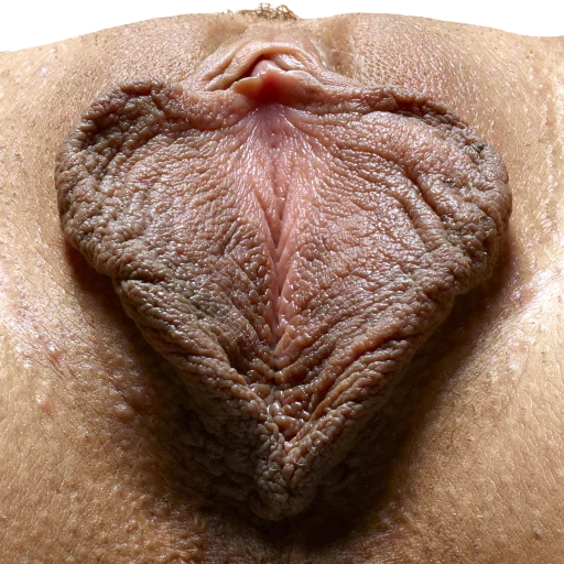 World of Vaginas pack 1 sticker 13