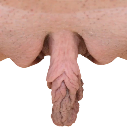 World of Vaginas pack 1 sticker 27