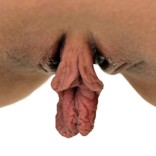 World of Vaginas pack 1 sticker 28