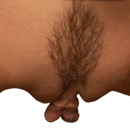 World of Vaginas pack 1 sticker 29