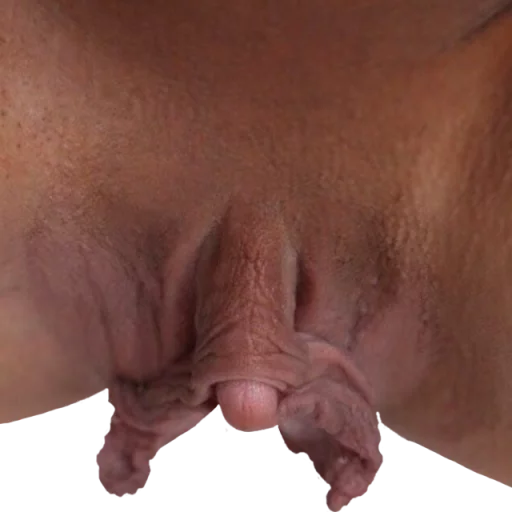 World of Vaginas pack 1 sticker 3