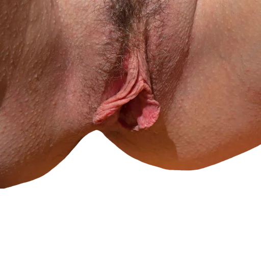 World of Vaginas pack 1 sticker 9