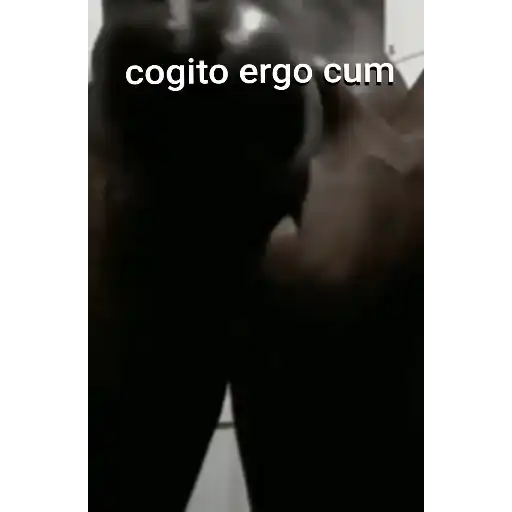 Black gay nigga sticker 11