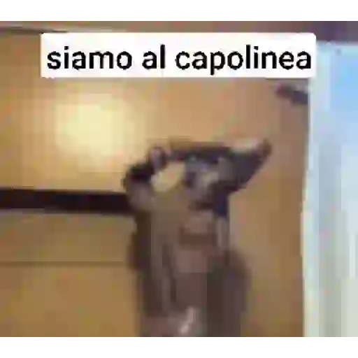 Black gay nigga sticker 2