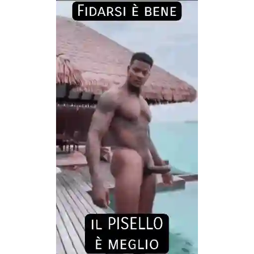 Black gay nigga sticker 3