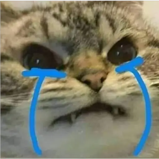 Ultra Sad Cats sticker 1