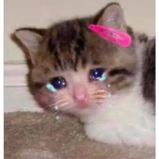 Ultra Sad Cats sticker 12