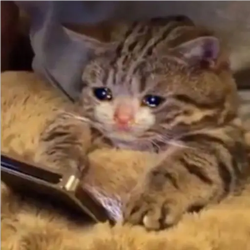 Ultra Sad Cats sticker 15