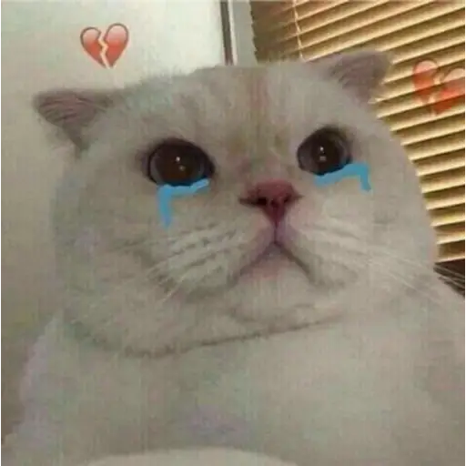 Ultra Sad Cats sticker 18