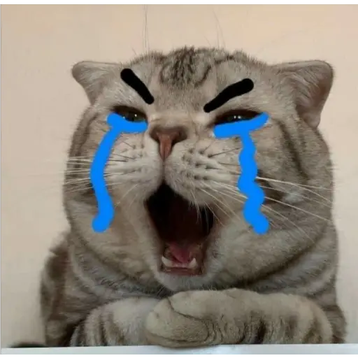 Ultra Sad Cats sticker 2