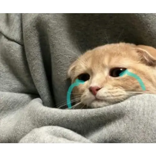 Ultra Sad Cats sticker 20