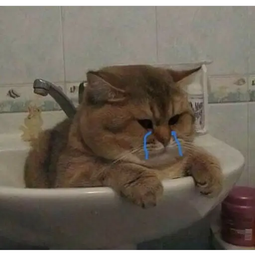 Ultra Sad Cats sticker 22
