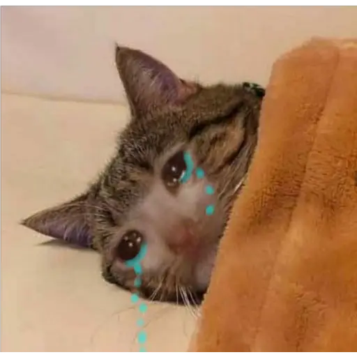 Ultra Sad Cats sticker 23