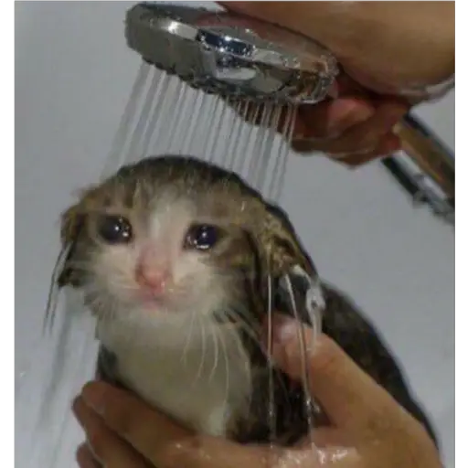 Ultra Sad Cats sticker 27