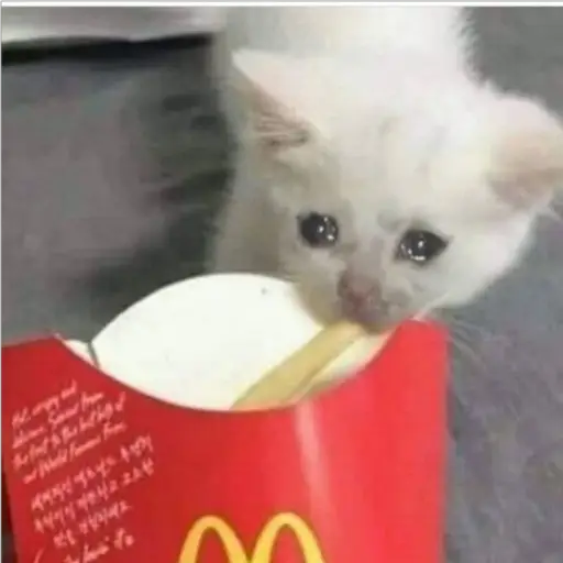 Ultra Sad Cats sticker 28