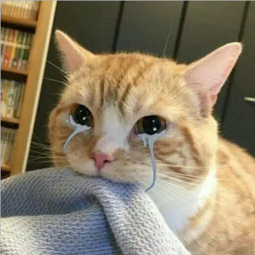 Ultra Sad Cats sticker 4