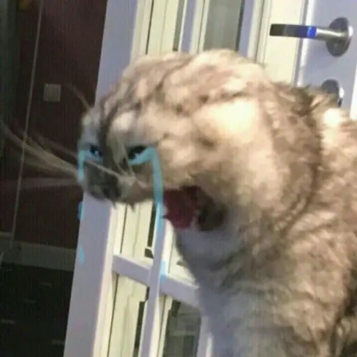 Ultra Sad Cats sticker 5