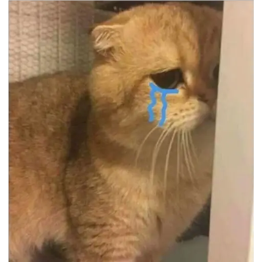 Ultra Sad Cats sticker 7