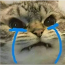 Ultra Sad Cats tray icon