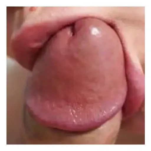 Best whores sticker 8