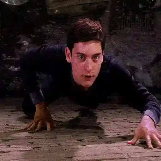 Spider Man sticker 12