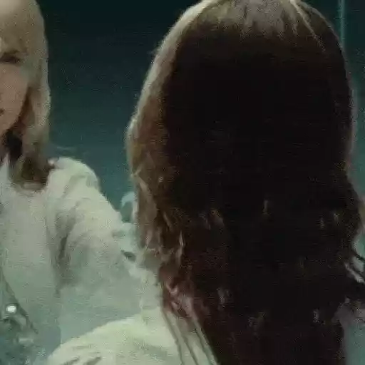 Hayley Williams sticker 24