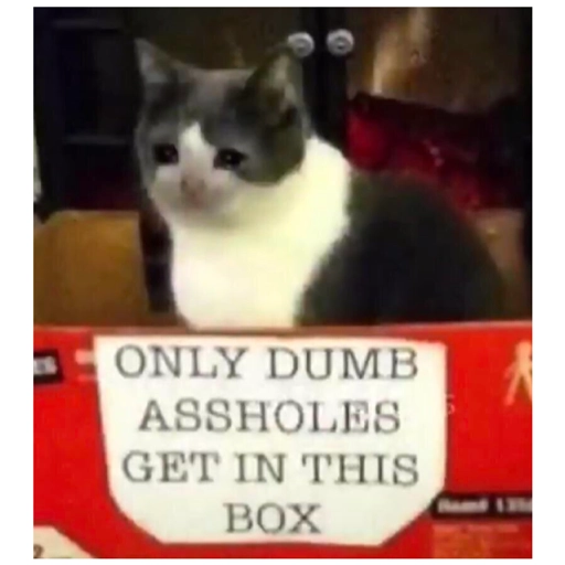Sad Cats Only sticker 14